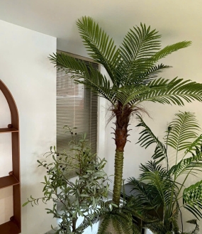 XU HƯỚNG MÀN CỬA HIỆN ĐẠI